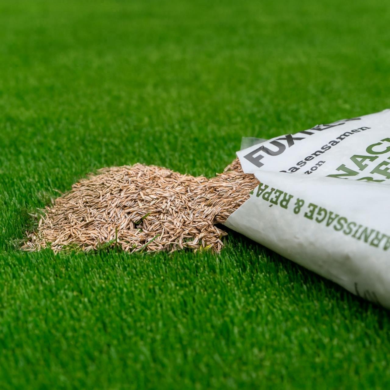 Semillas de césped FUXTEC FX-RSNR1 resiembra y reparación