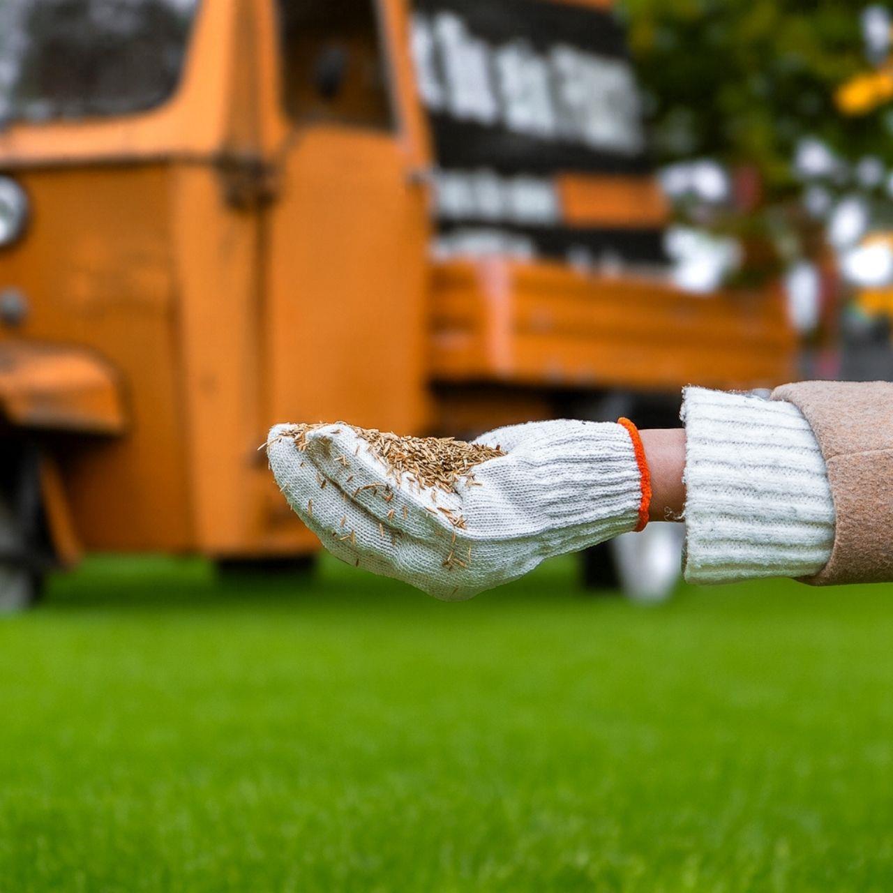 Semillas de césped FUXTEC FX-RSNR1 resiembra y reparación