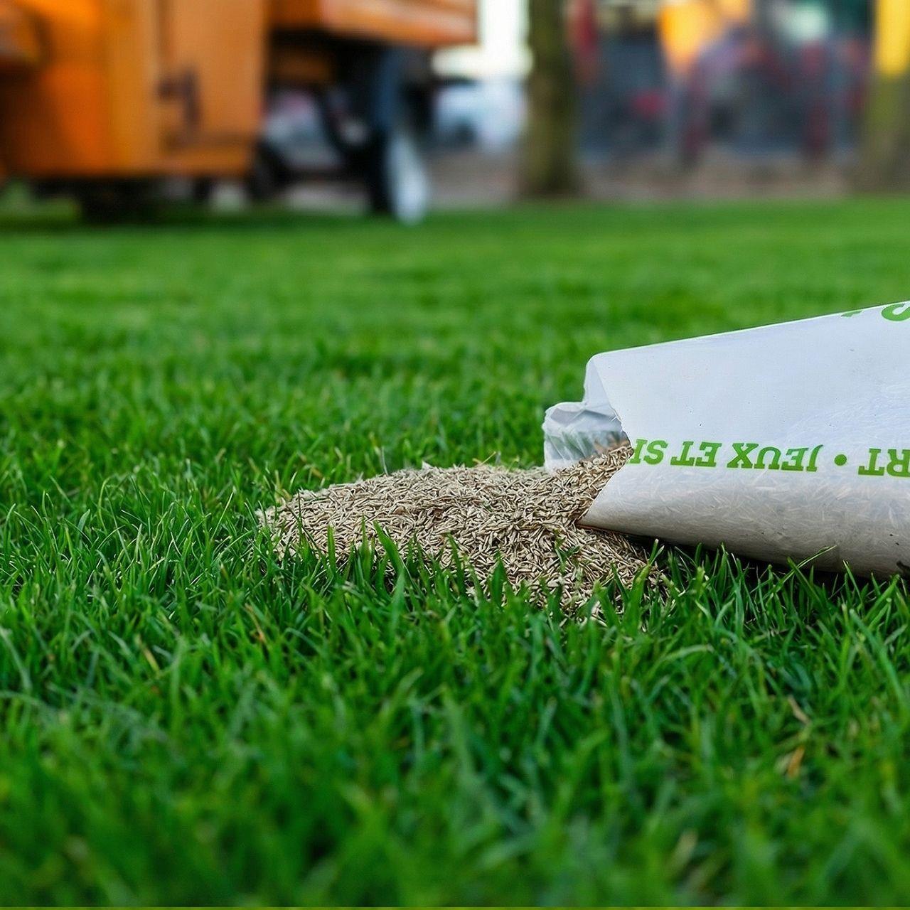 FUXTEC semillas de césped FX-RSSP1 1kg césped de juego y deportivo