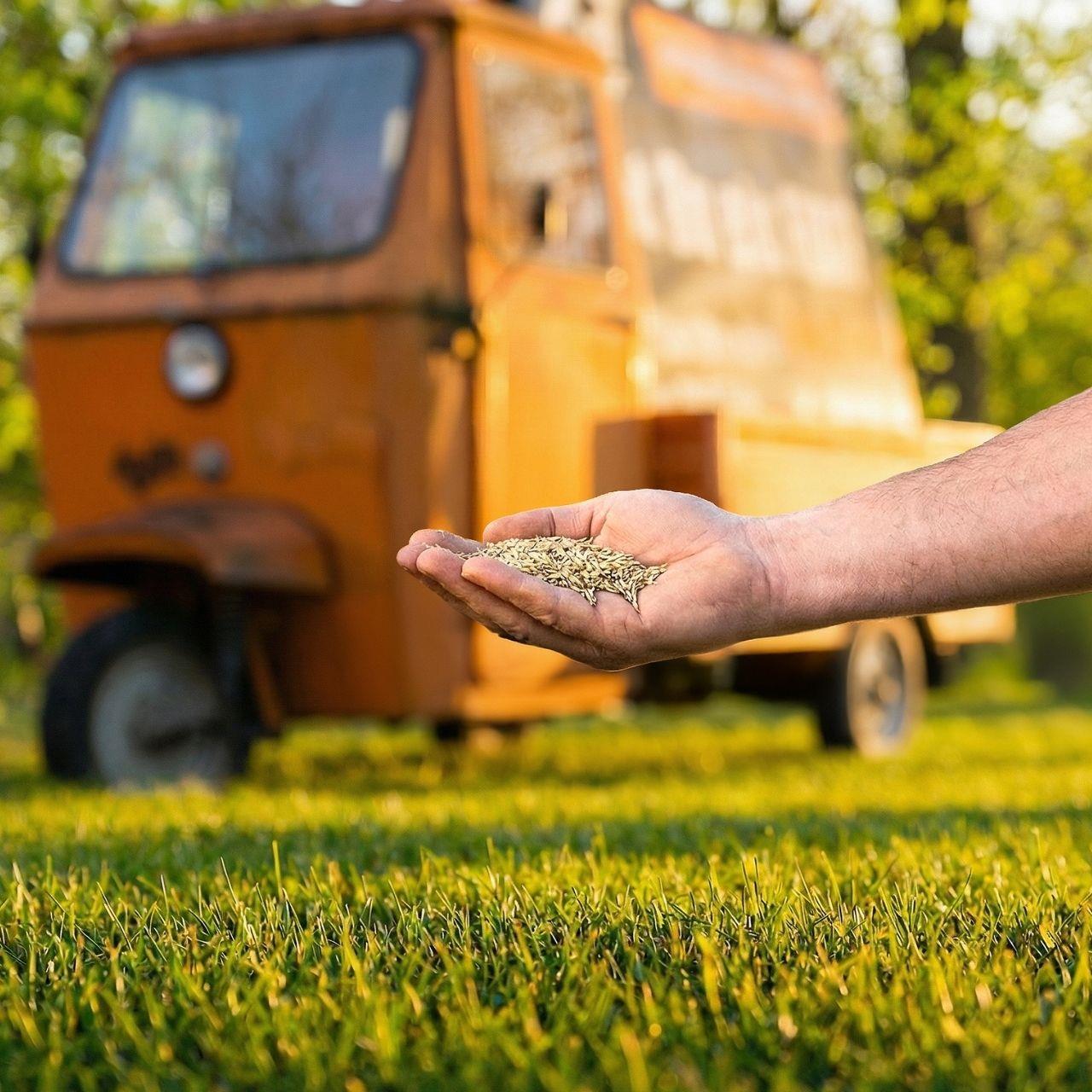 FUXTEC semillas de césped FX-RSSP5 5 kg césped de juego y deportivo